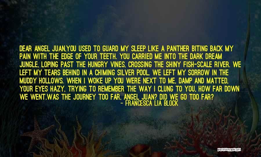 Tears In Your Eyes Quotes By Francesca Lia Block Tears In Your Eyes Quotes By Francesca Lia Block