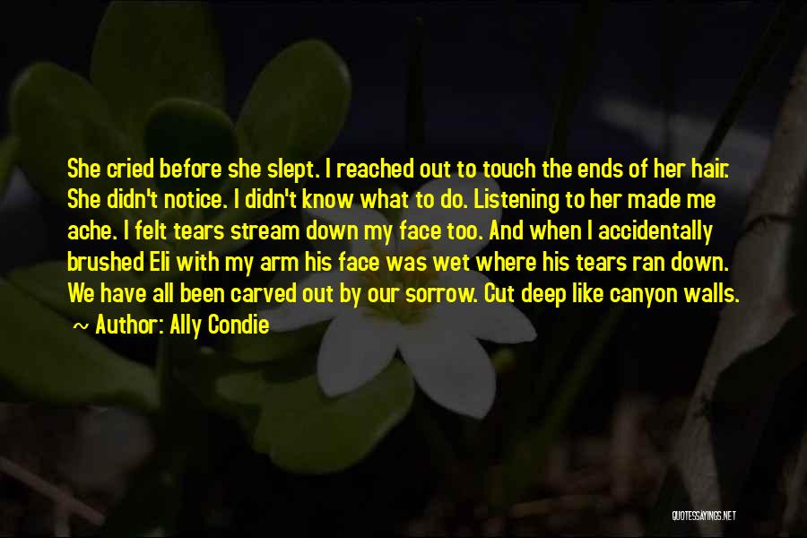 Tears I've Cried Quotes By Ally Condie