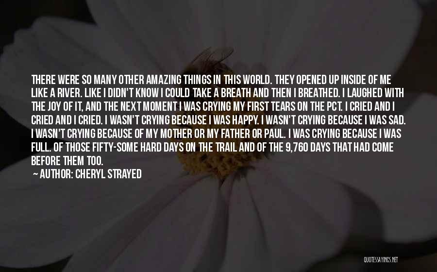 Tears I've Cried Quotes By Cheryl Strayed