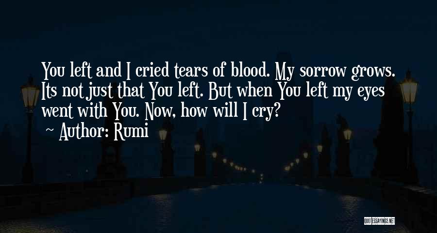 Tears I've Cried Quotes By Rumi