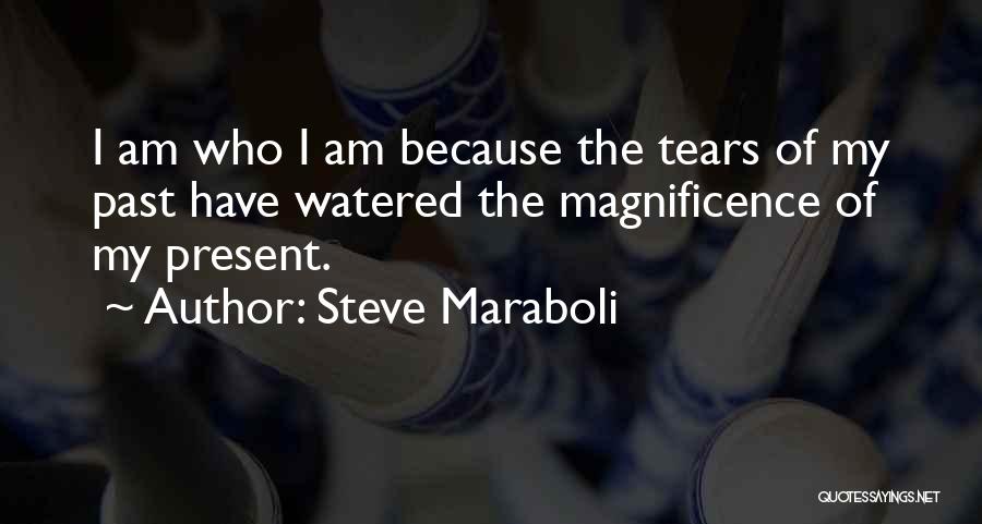 Tears Of Happiness Quotes By Steve Maraboli