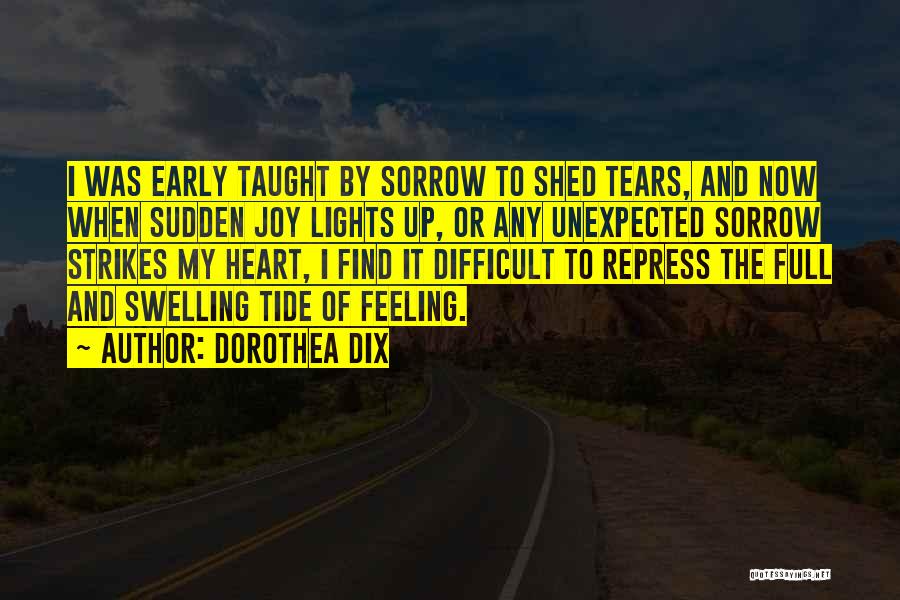 Tears Of Joy Quotes By Dorothea Dix