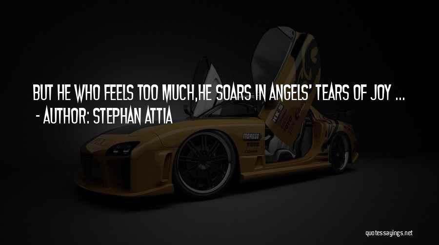Tears Of Joy Quotes By Stephan Attia