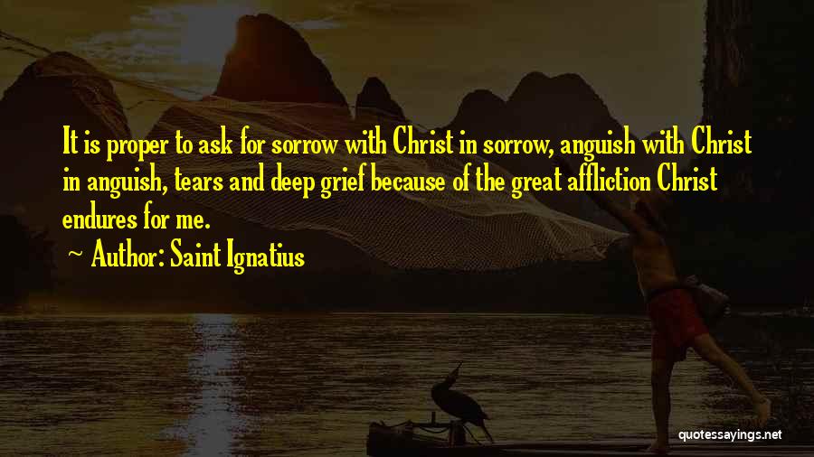 Tears Sorrow Quotes By Saint Ignatius