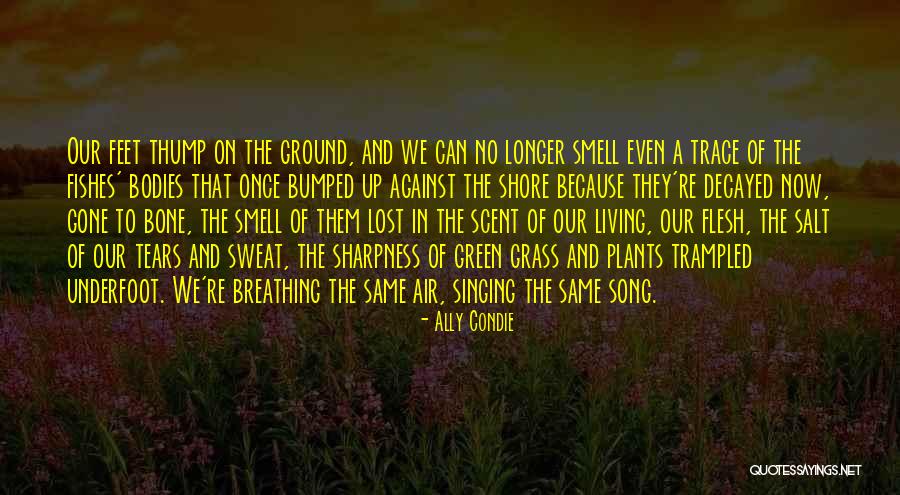 Tears The Song Quotes By Ally Condie Tears The Song Quotes By Ally Condie