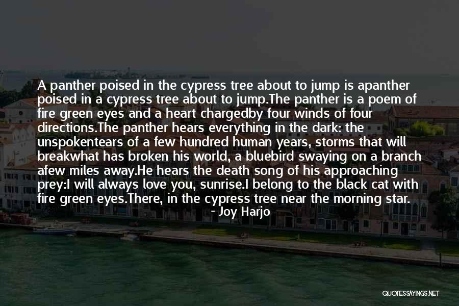 Tears The Song Quotes By Joy Harjo Tears The Song Quotes By Joy Harjo