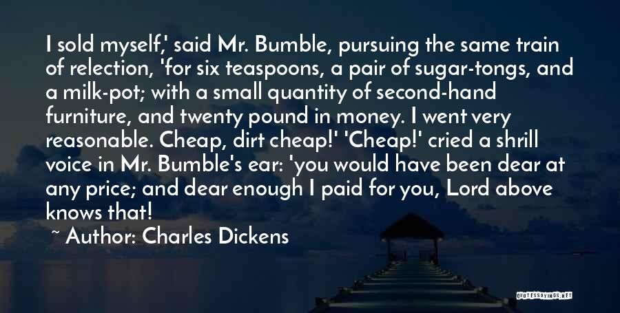 Teaspoons Quotes By Charles Dickens