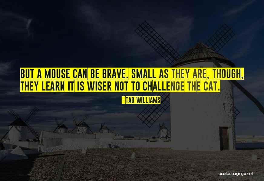 Teatralidad Quotes By Tad Williams Teatralidad Quotes By Tad Williams