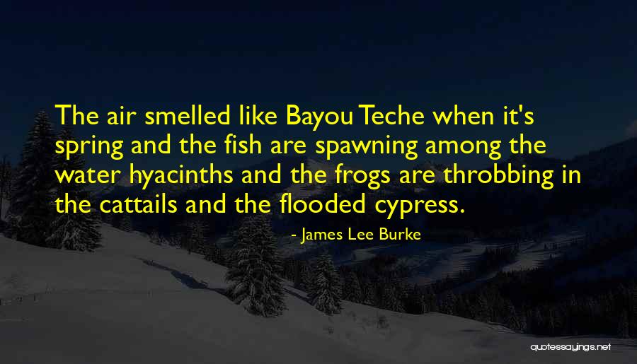 Teche Quotes By James Lee Burke Teche Quotes By James Lee Burke