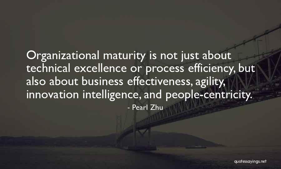 Technical Excellence Quotes By Pearl Zhu