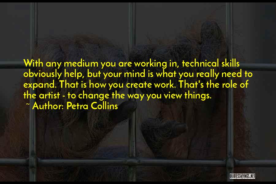 Technical Skills Quotes By Petra Collins