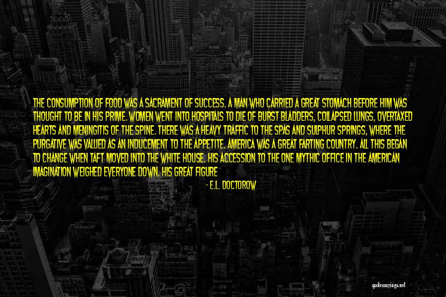 Technicality In A Sentence Quotes By E.L. Doctorow Technicality In A Sentence Quotes By E.L. Doctorow