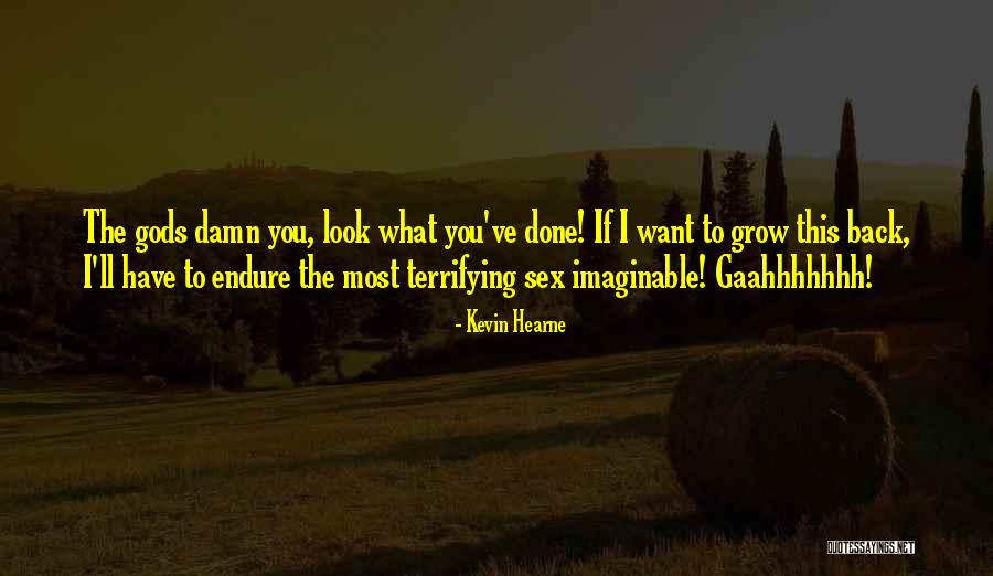 Technicolor Dreamcoat Quotes By Kevin Hearne Technicolor Dreamcoat Quotes By Kevin Hearne