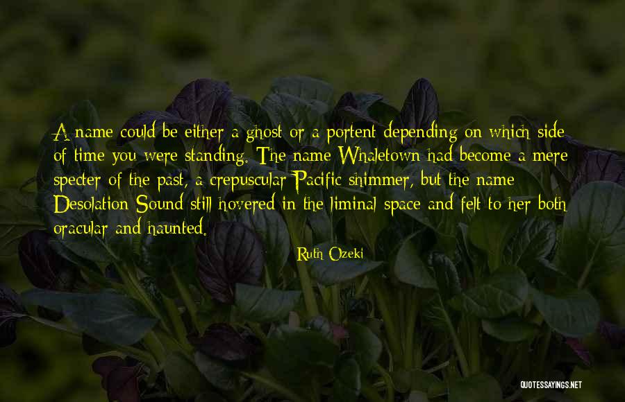 Techno Druids Quotes By Ruth Ozeki Techno Druids Quotes By Ruth Ozeki