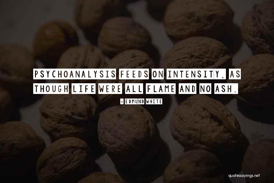 Technocratic Party Quotes By Edmund White Technocratic Party Quotes By Edmund White