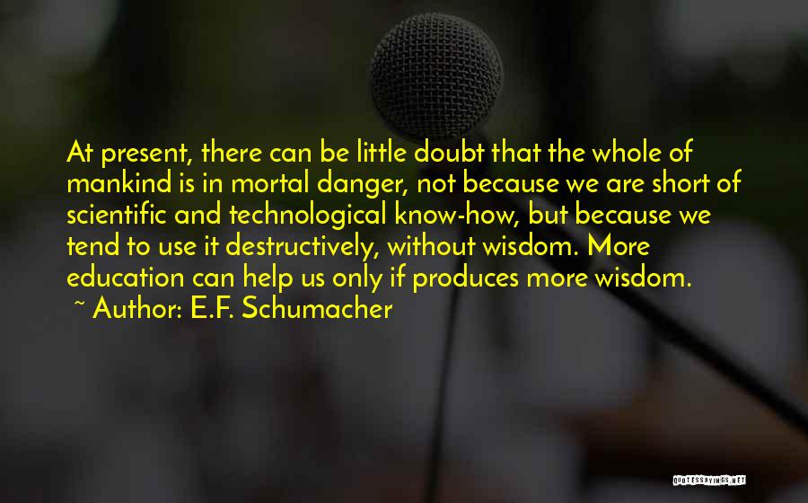 Technological Education Quotes By E.F. Schumacher