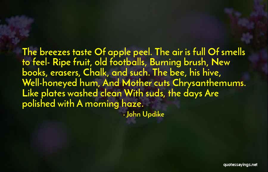 Technologies In Teaching Quotes By John Updike Technologies In Teaching Quotes By John Updike