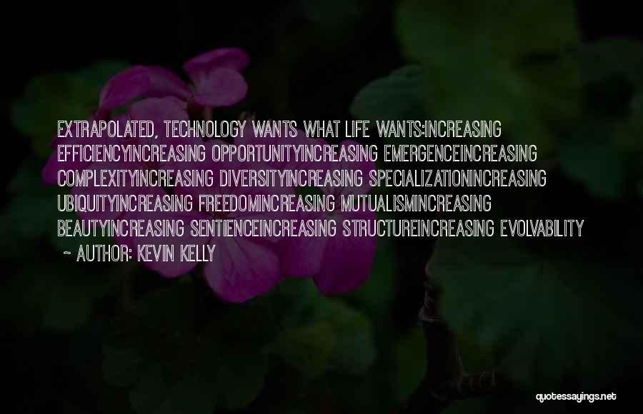 Technology And Efficiency Quotes By Kevin Kelly