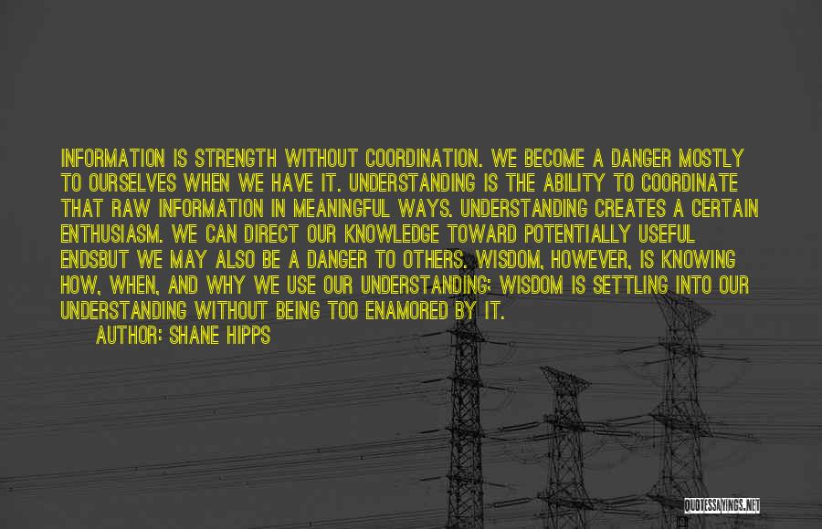 Technology Information Quotes By Shane Hipps