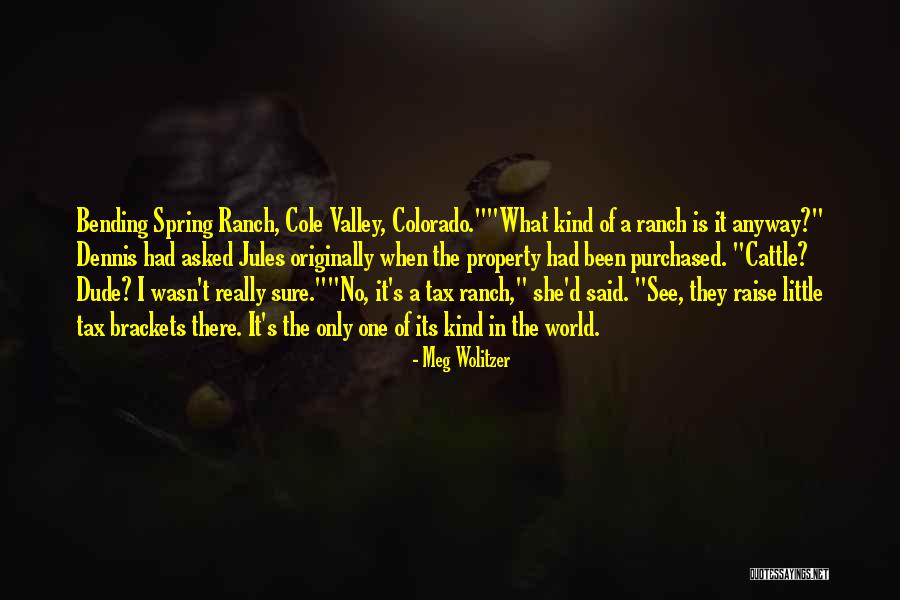Technology Modernization Quotes By Meg Wolitzer Technology Modernization Quotes By Meg Wolitzer