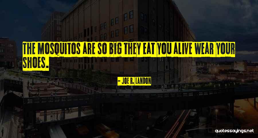 Techspert Quotes By Joe R. Landon Techspert Quotes By Joe R. Landon