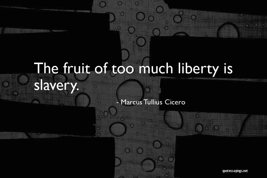 Tecna Winx Quotes By Marcus Tullius Cicero