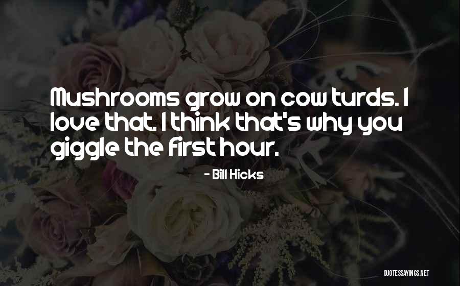 Tecnicos Laboratoristas Quotes By Bill Hicks Tecnicos Laboratoristas Quotes By Bill Hicks