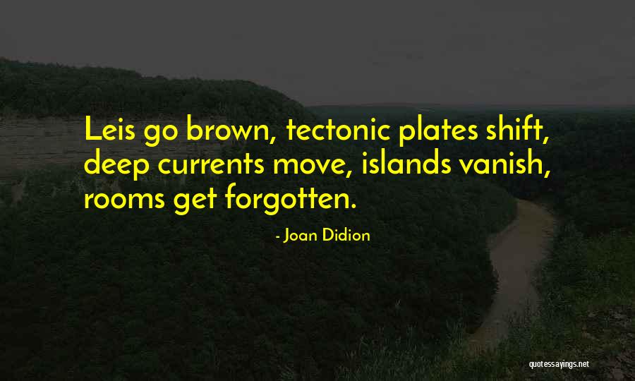 Tectonic Plates Quotes By Joan Didion