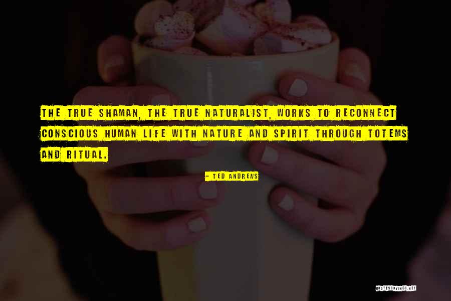 Ted Andrews Quotes 1848279 Ted Andrews Quotes 1848279