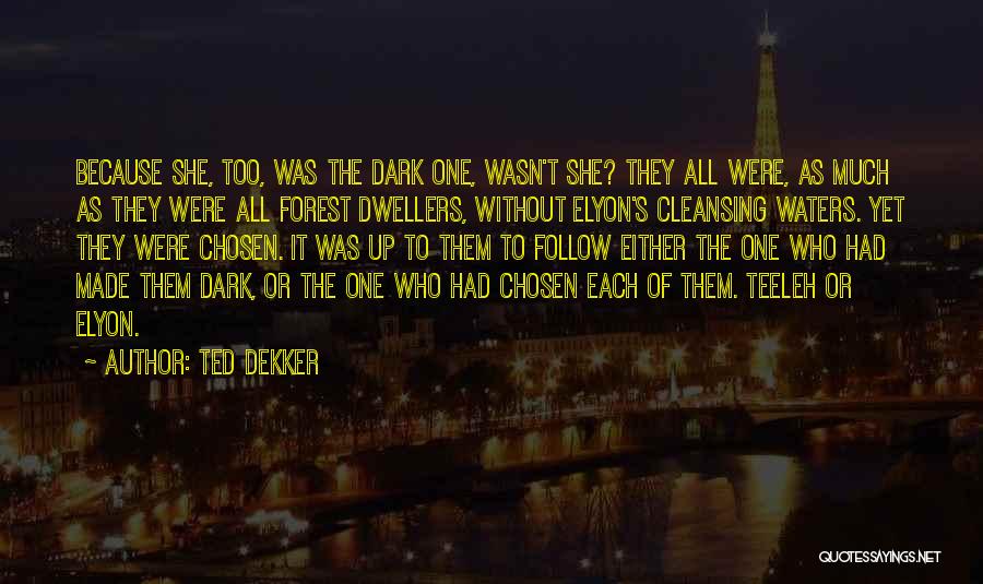 Ted Dekker Quotes 2112192