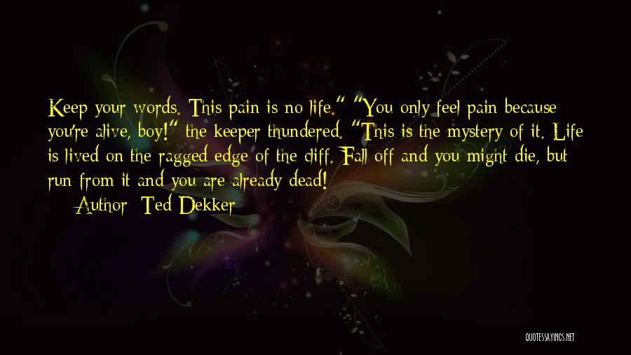 Ted Dekker Quotes 263336