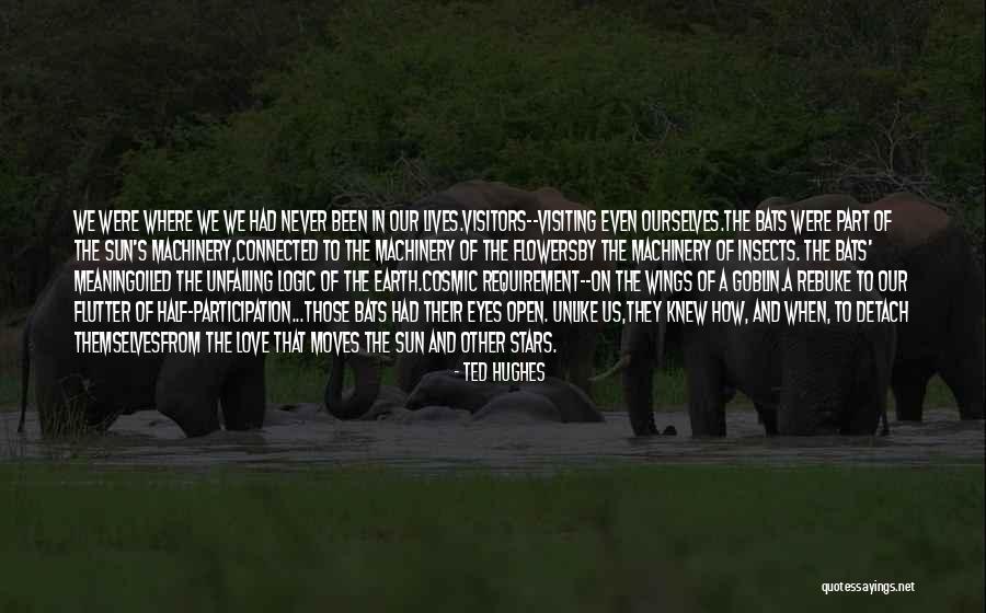 Ted Hughes Quotes 1001422 Ted Hughes Quotes 1001422