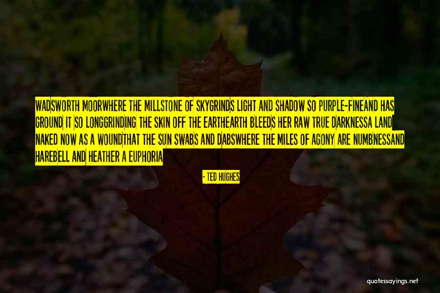 Ted Hughes Quotes 1081873 Ted Hughes Quotes 1081873