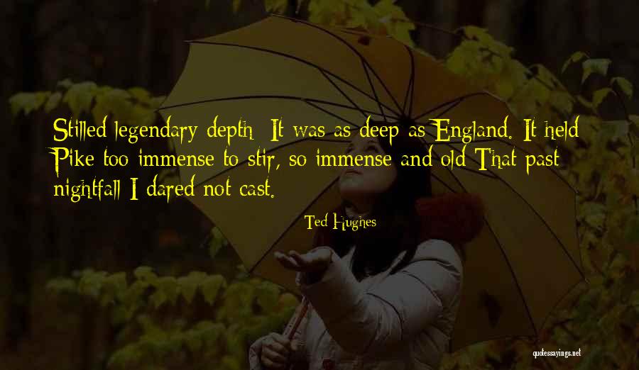 Ted Hughes Quotes 1294103