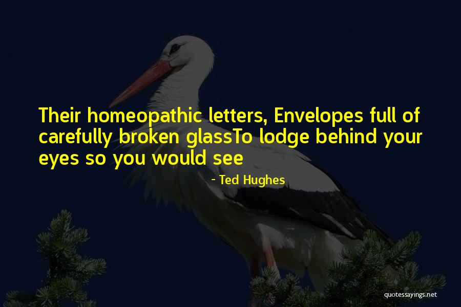 Ted Hughes Quotes 1480557