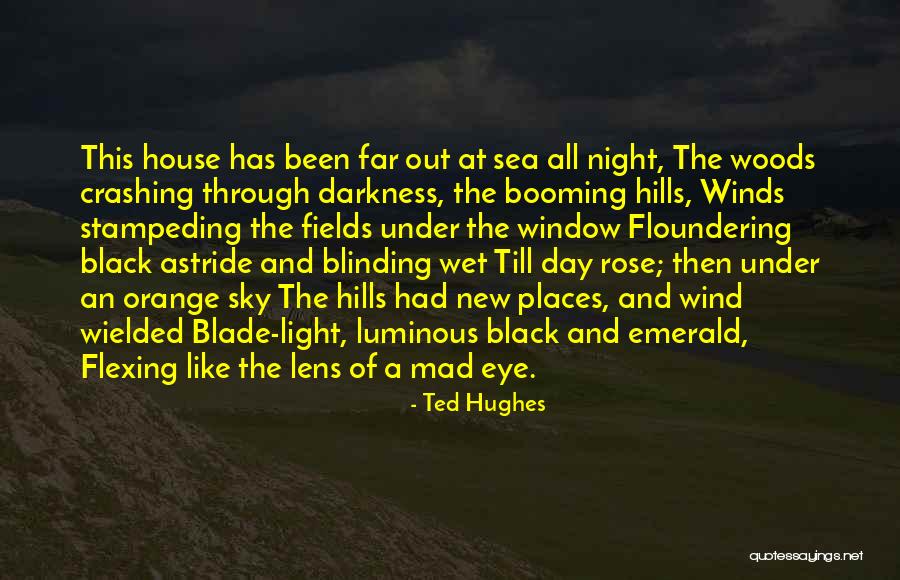 Ted Hughes Quotes 149677 Ted Hughes Quotes 149677