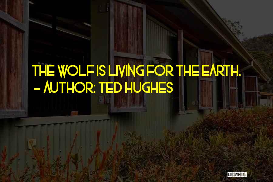 Ted Hughes Quotes 1573303