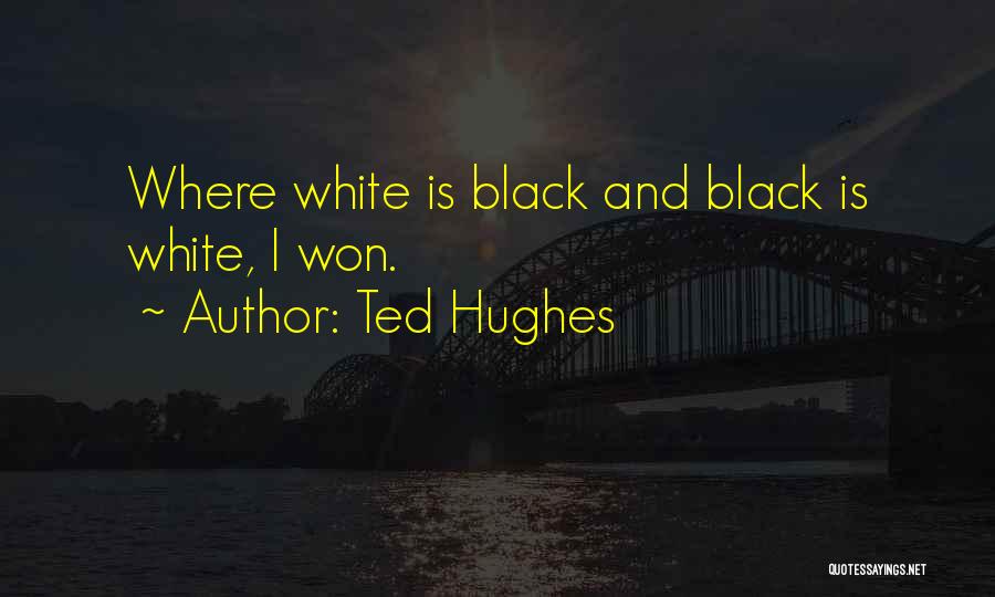 Ted Hughes Quotes 1835331