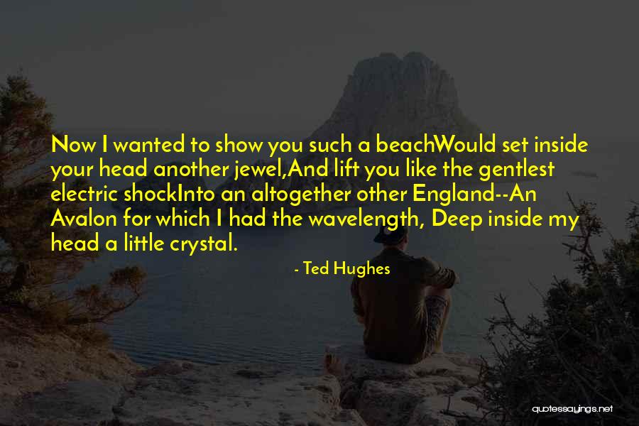 Ted Hughes Quotes 1852945