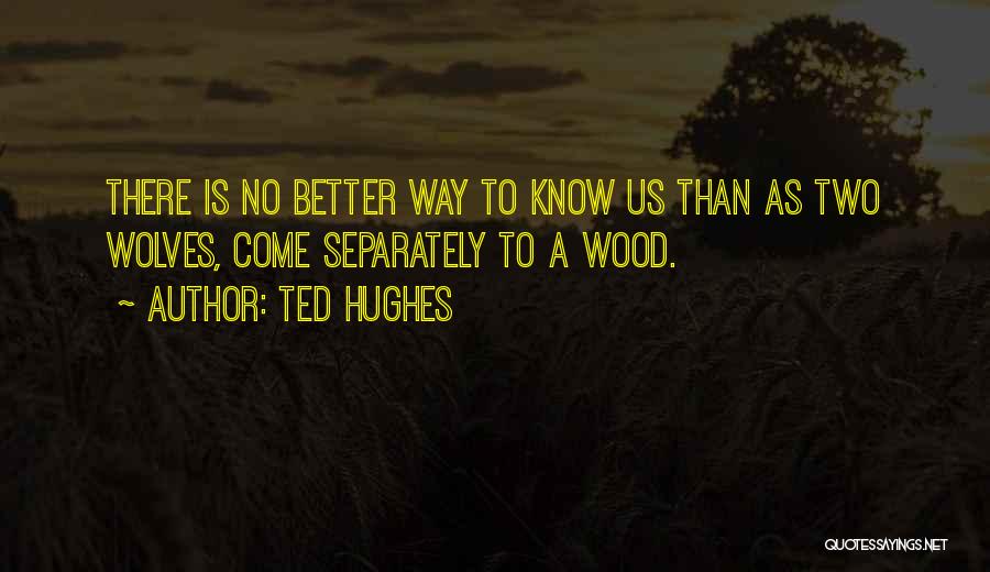 Ted Hughes Quotes 197869