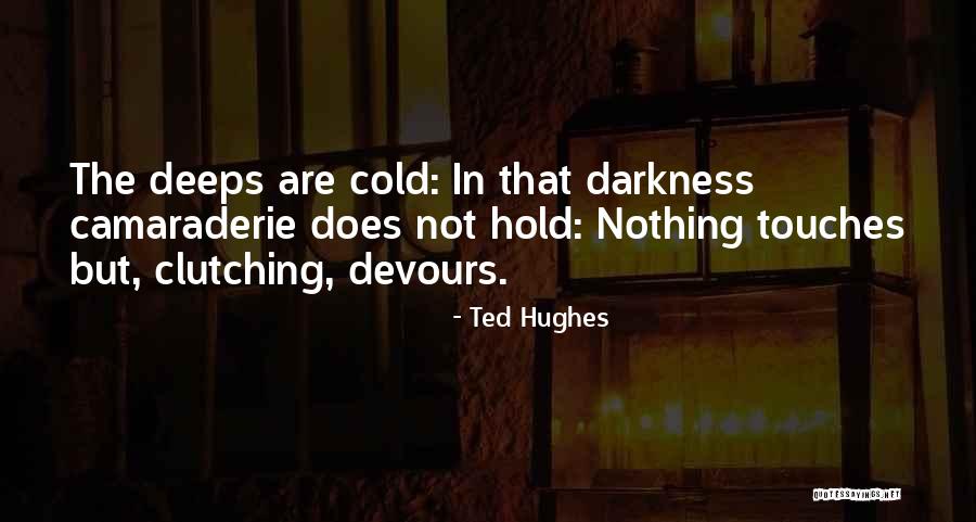 Ted Hughes Quotes 2019302