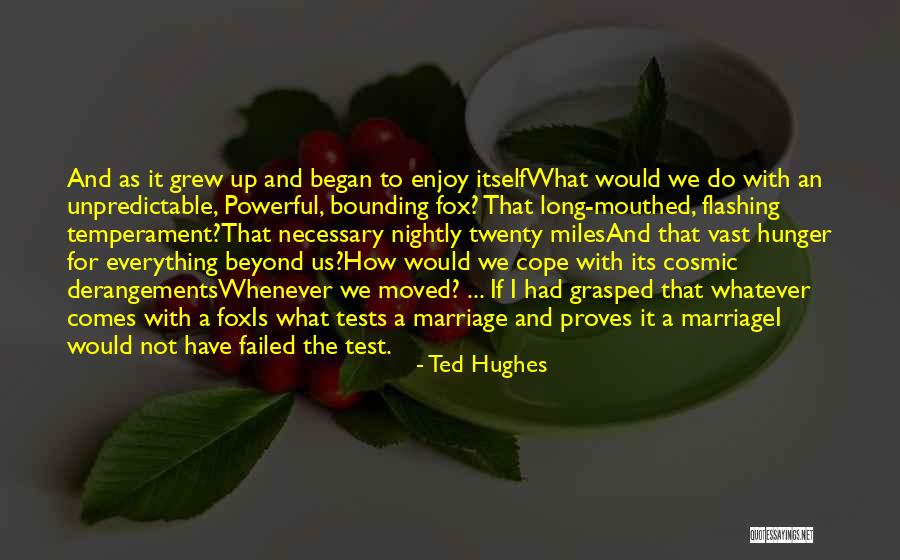 Ted Hughes Quotes 272433