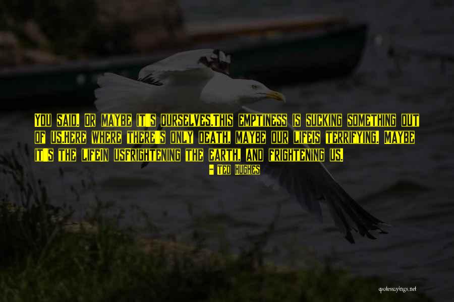 Ted Hughes Quotes 324759 Ted Hughes Quotes 324759
