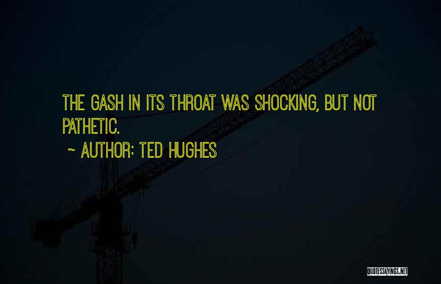 Ted Hughes Quotes 605219