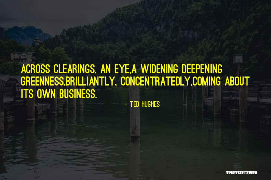 Ted Hughes Quotes 765007