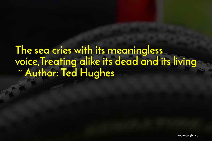 Ted Hughes Quotes 866325