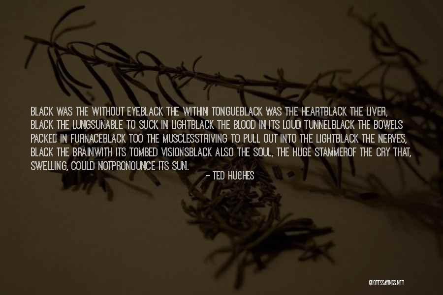 Ted Hughes Quotes 896556 Ted Hughes Quotes 896556