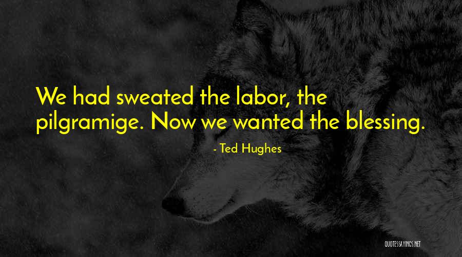 Ted Hughes Quotes 959319