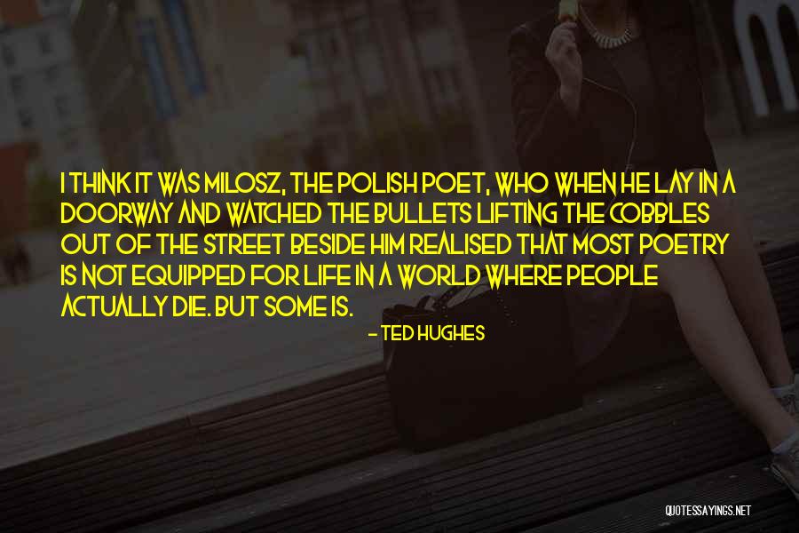 Ted Hughes Quotes 986181