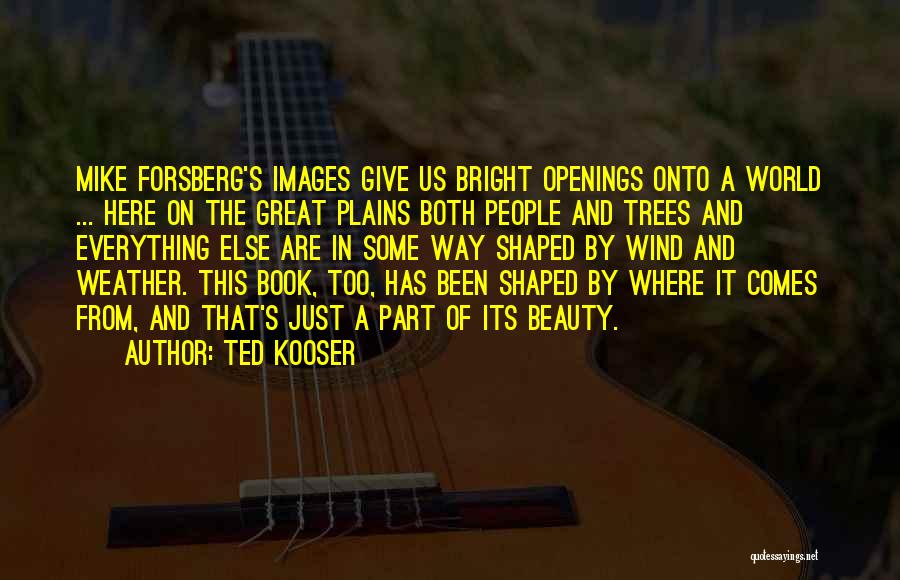 Ted Kooser Quotes 1666916